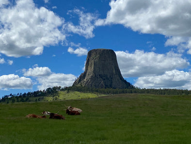 Devil's Tower in Wyoming